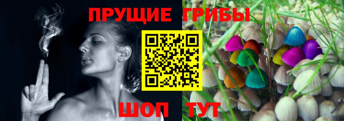 Галлюциногенные грибы Psilocybine cubensis  Галлюциногенные грибы мицелий  Вход с VPN  Кизляр 
