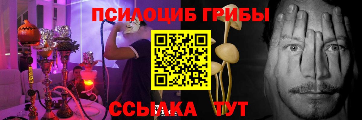 Галлюциногенные грибы мицелий Кизляр